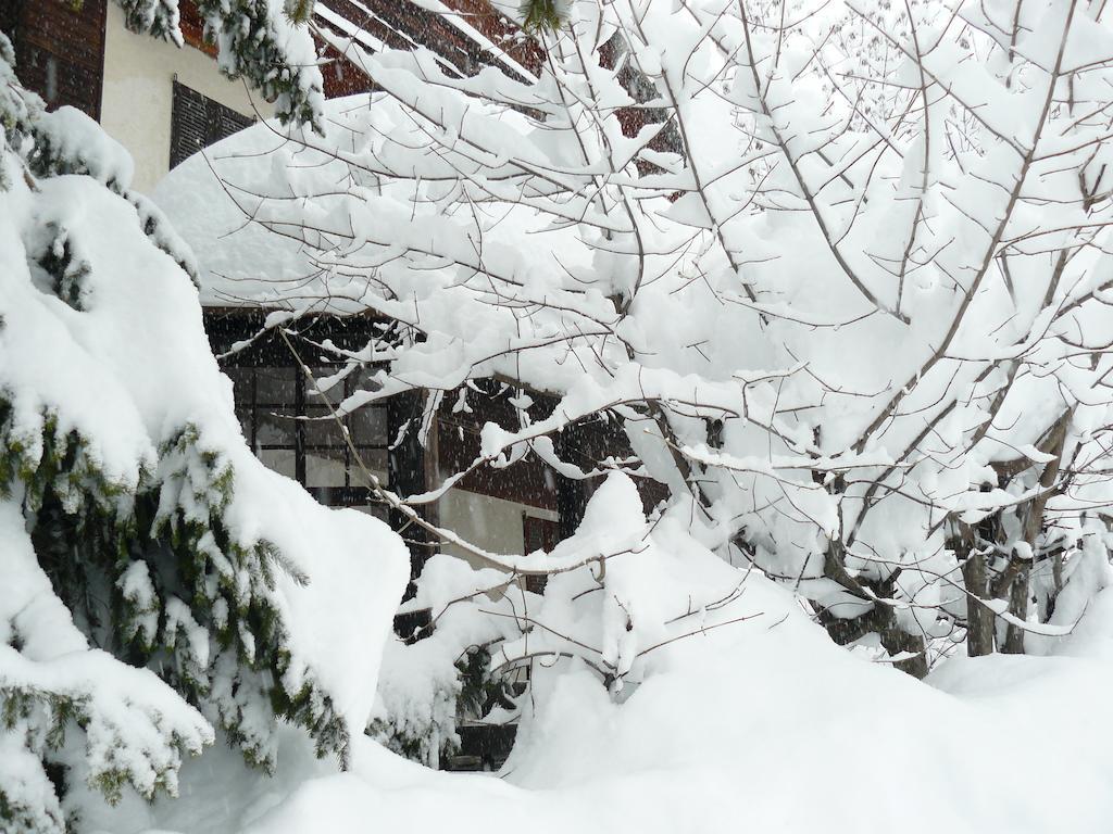 Residence Felik Gressoney-La-Trinite Exterior photo